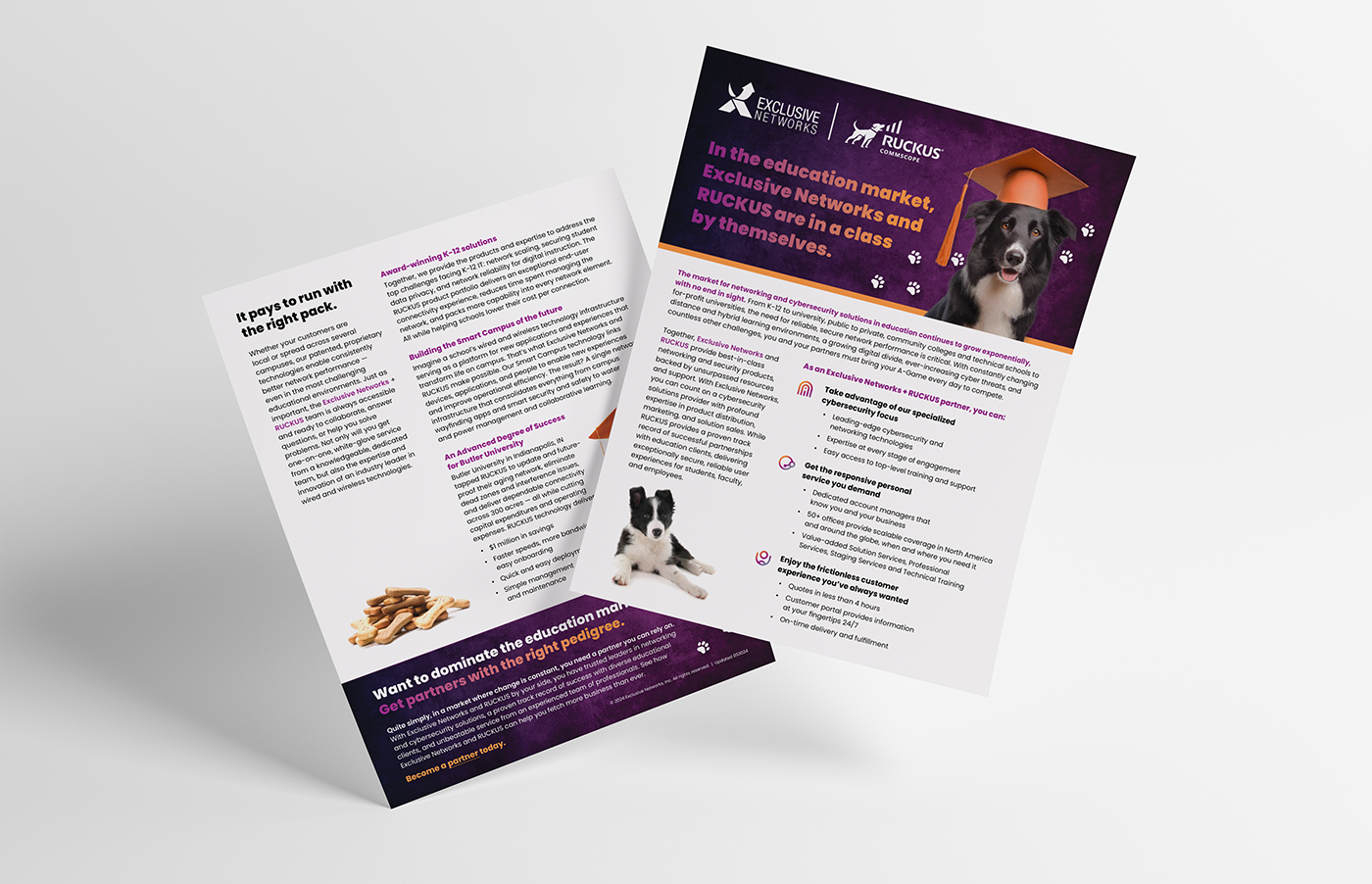 Ruckus Education 1-Pager